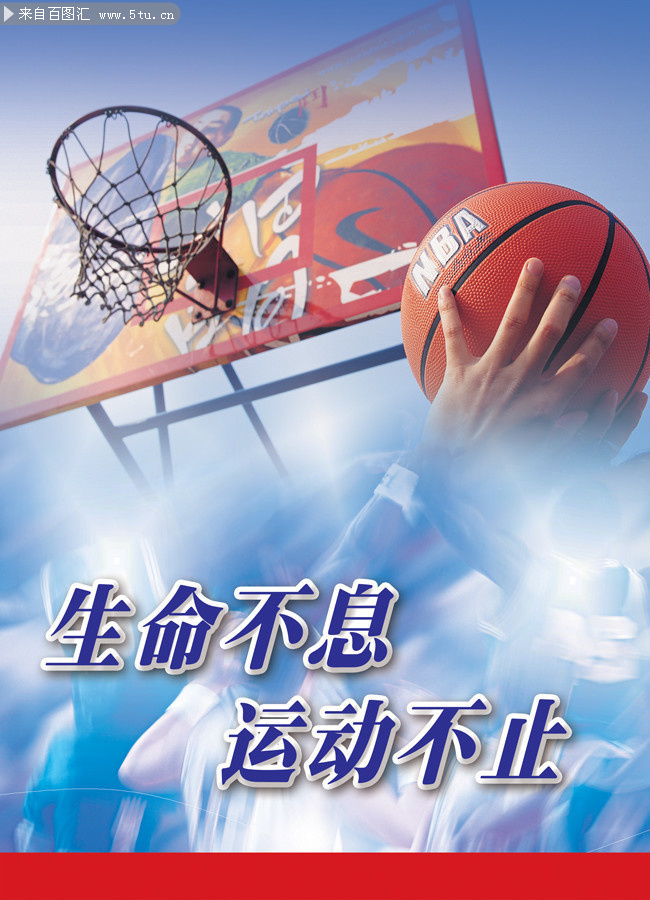 籃球運動 激情與榮耀的象征